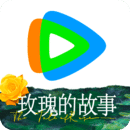 女王叶s是哪的